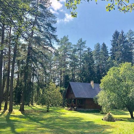 Villa Rojaus Slenis Druskininkai Esterno foto