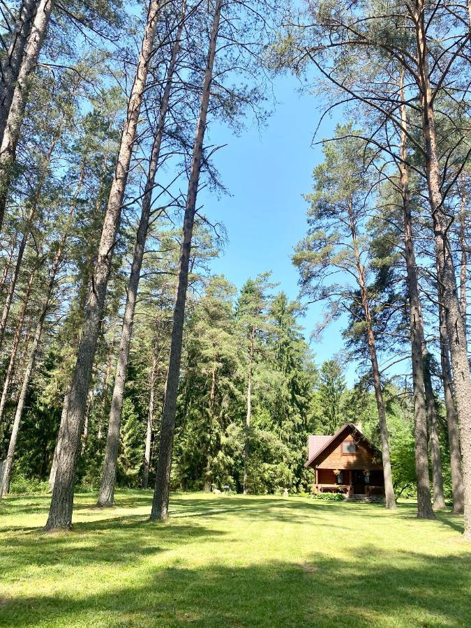 Villa Rojaus Slenis Druskininkai Esterno foto