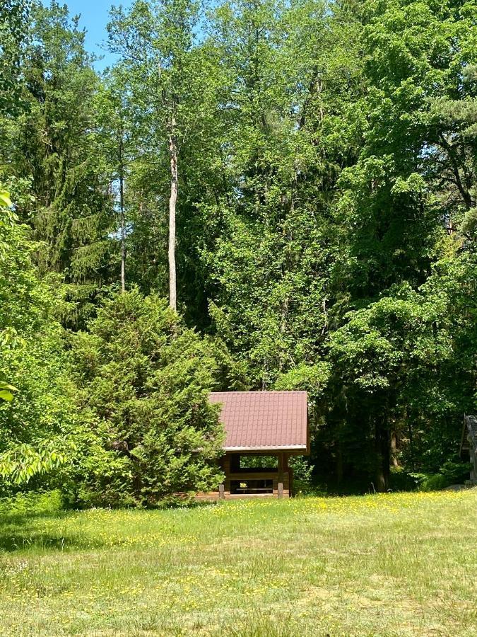 Villa Rojaus Slenis Druskininkai Esterno foto