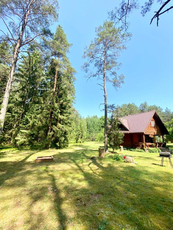 Villa Rojaus Slenis Druskininkai Esterno foto