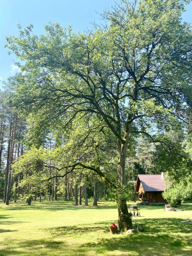 Villa Rojaus Slenis Druskininkai Esterno foto