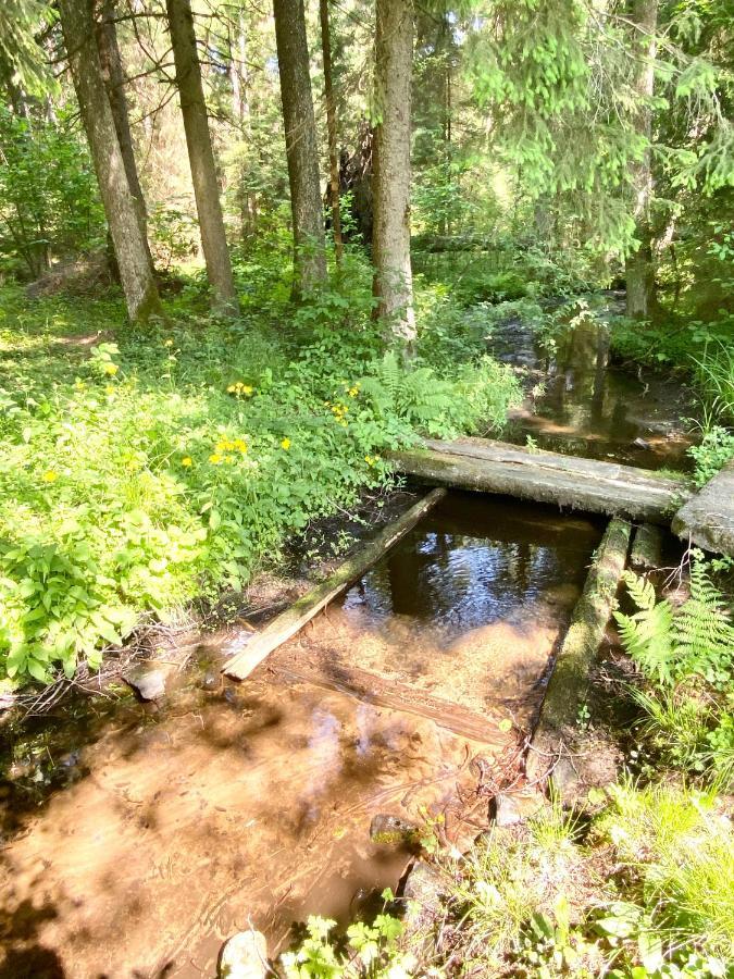 Villa Rojaus Slenis Druskininkai Esterno foto