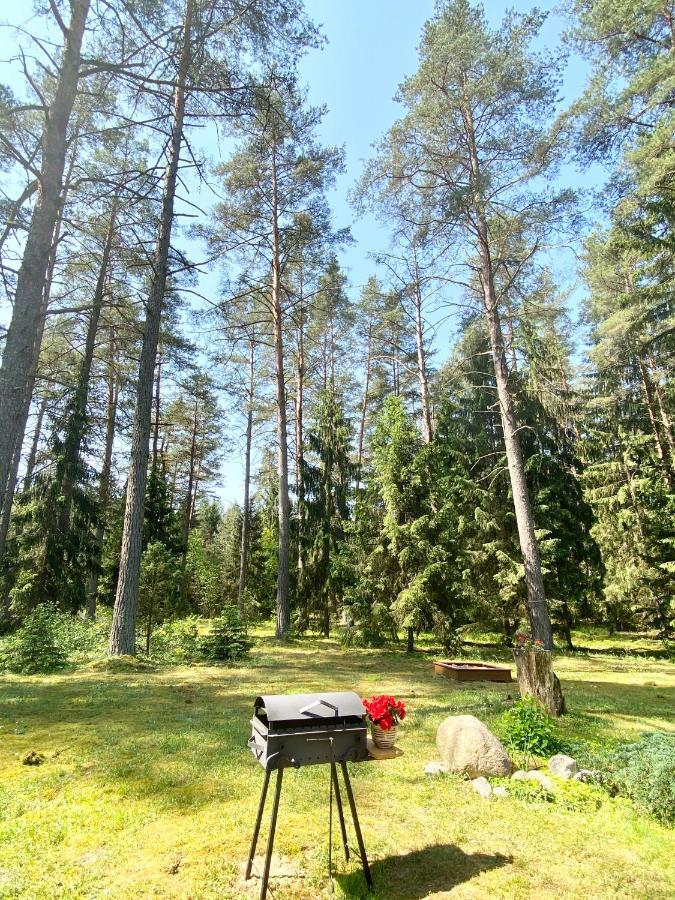 Villa Rojaus Slenis Druskininkai Esterno foto