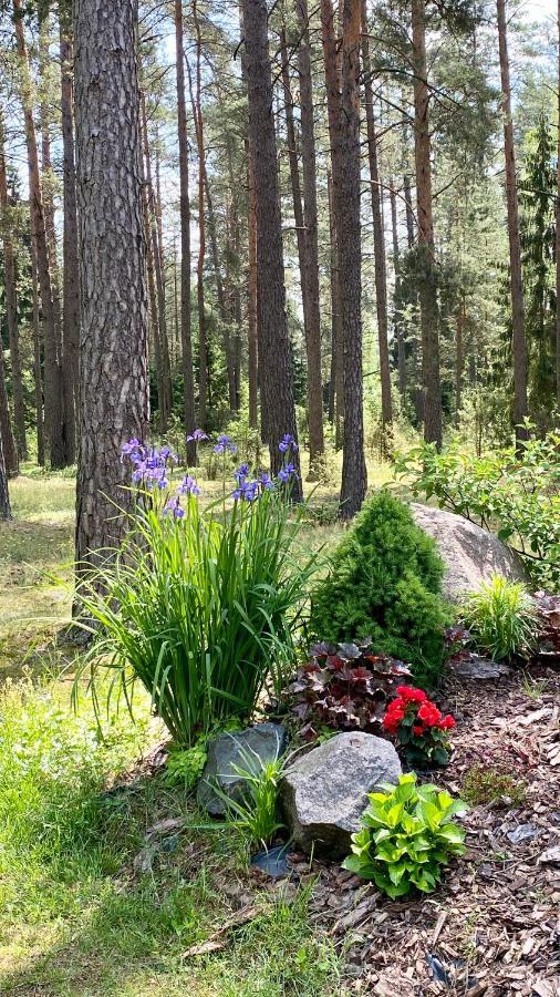 Villa Rojaus Slenis Druskininkai Esterno foto