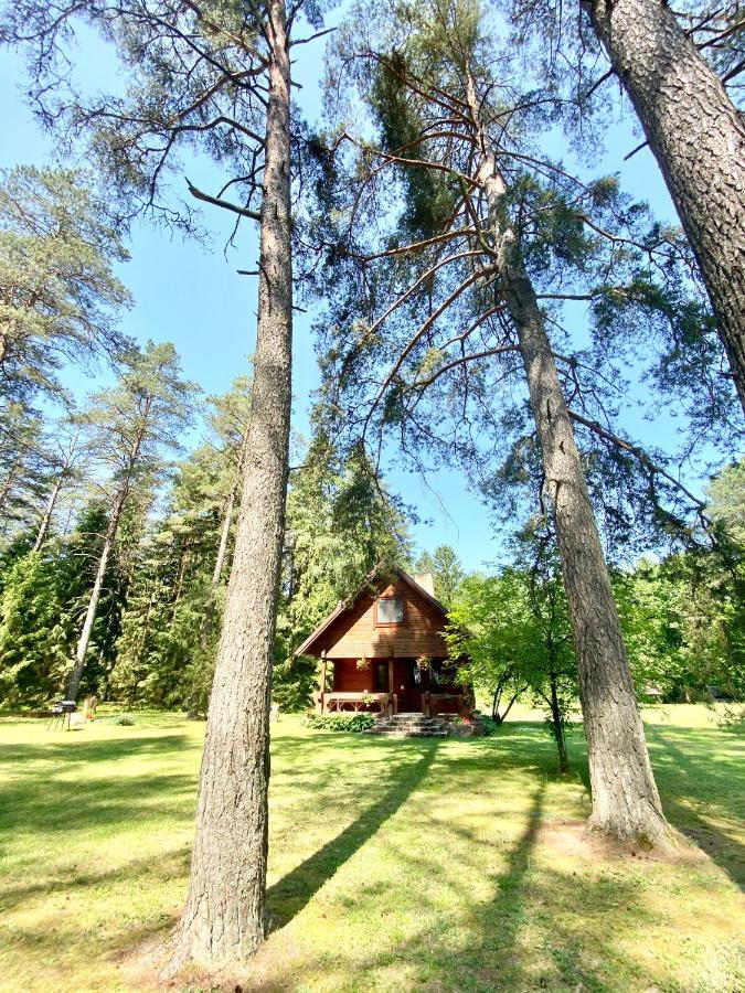 Villa Rojaus Slenis Druskininkai Esterno foto