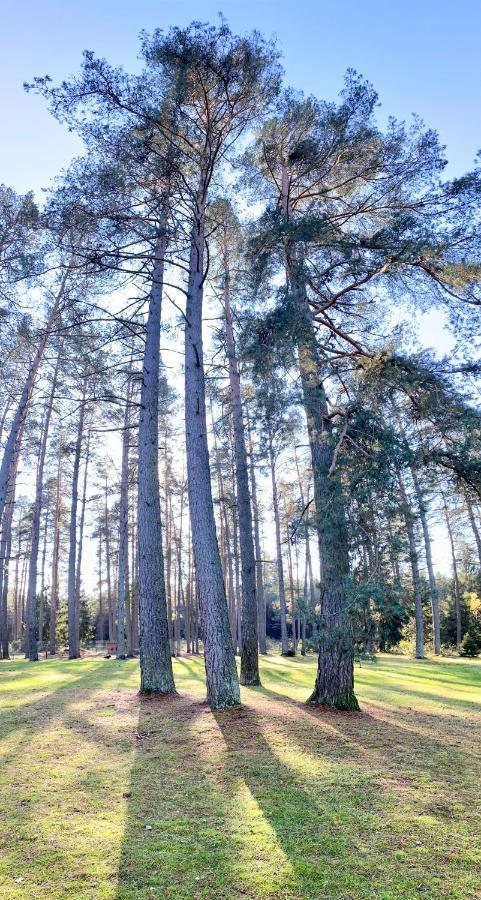Villa Rojaus Slenis Druskininkai Esterno foto