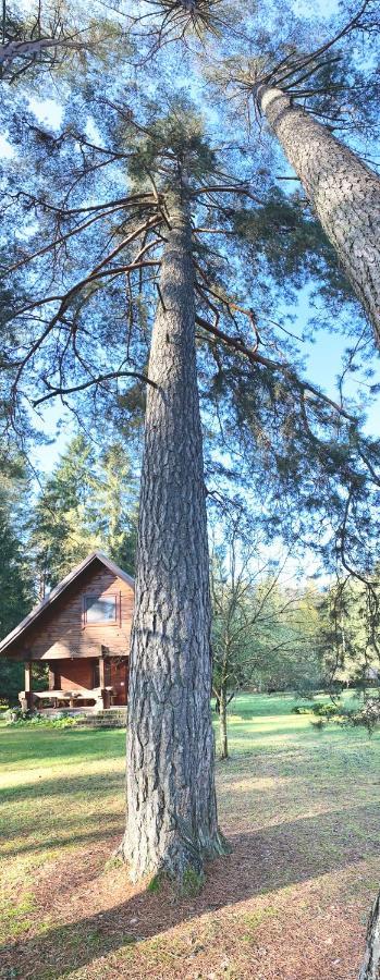 Villa Rojaus Slenis Druskininkai Esterno foto
