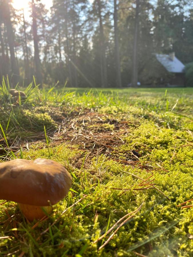 Villa Rojaus Slenis Druskininkai Esterno foto