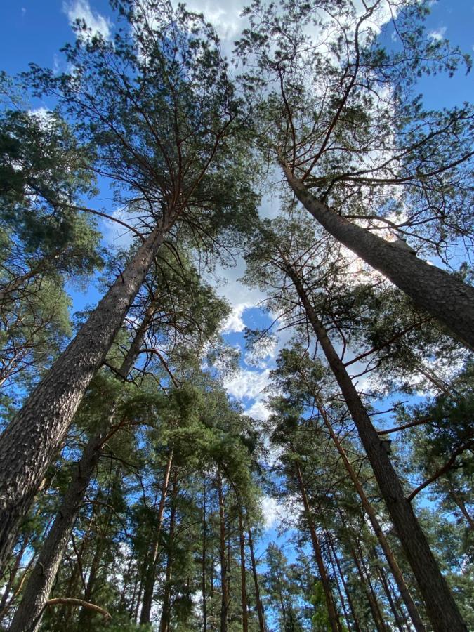 Villa Rojaus Slenis Druskininkai Esterno foto
