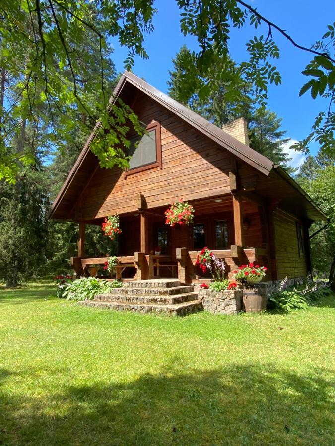 Villa Rojaus Slenis Druskininkai Esterno foto