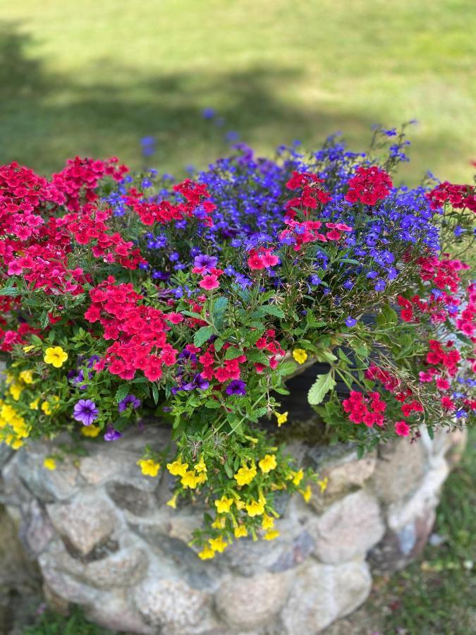 Villa Rojaus Slenis Druskininkai Esterno foto