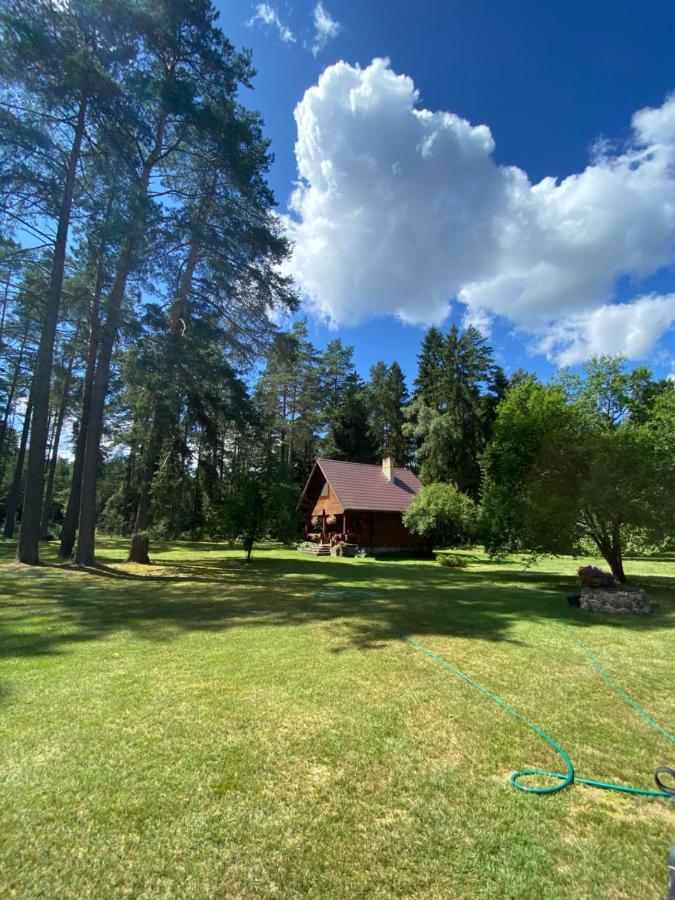 Villa Rojaus Slenis Druskininkai Esterno foto