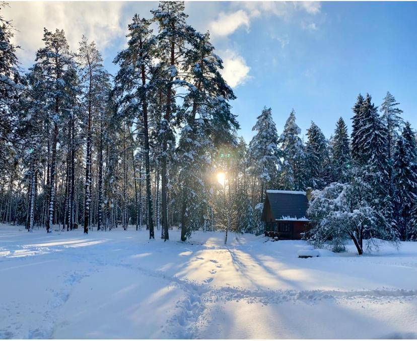 Villa Rojaus Slenis Druskininkai Esterno foto