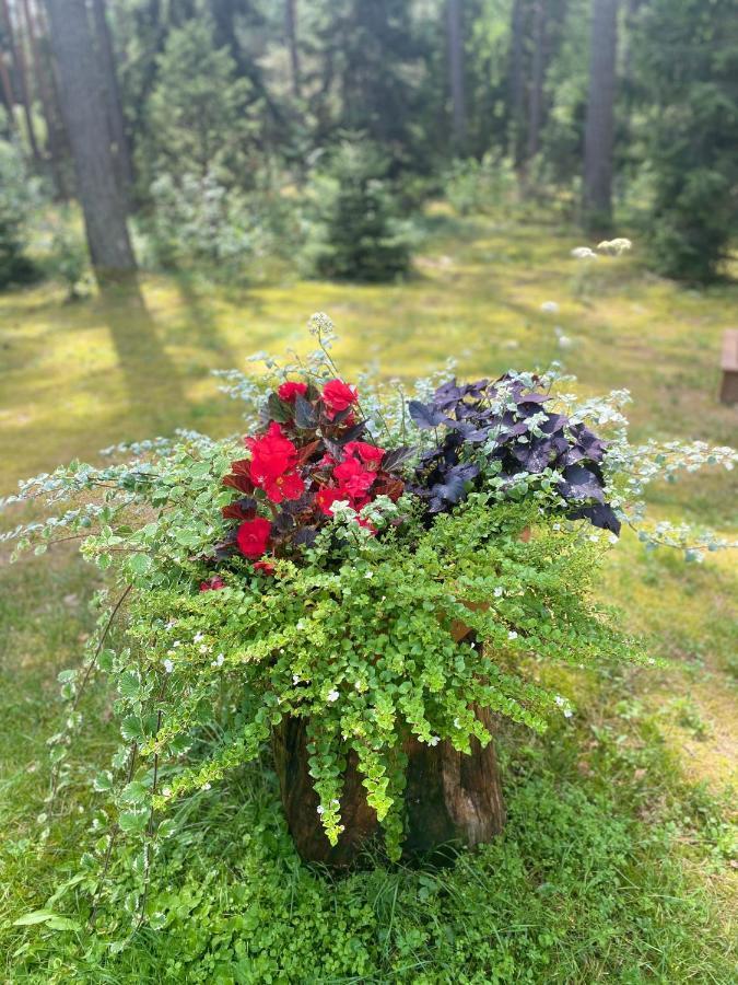 Villa Rojaus Slenis Druskininkai Esterno foto