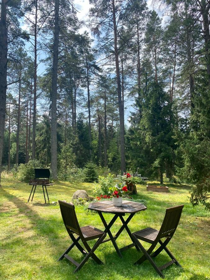 Villa Rojaus Slenis Druskininkai Esterno foto