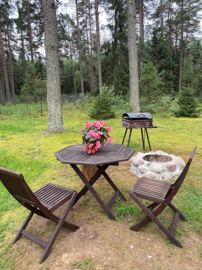 Villa Rojaus Slenis Druskininkai Esterno foto