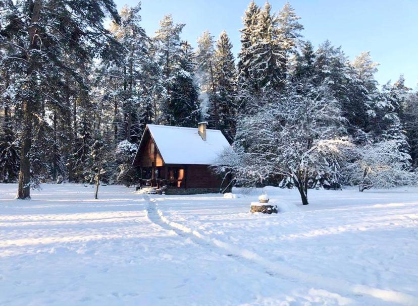 Villa Rojaus Slenis Druskininkai Esterno foto