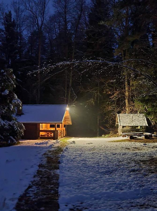 Villa Rojaus Slenis Druskininkai Esterno foto