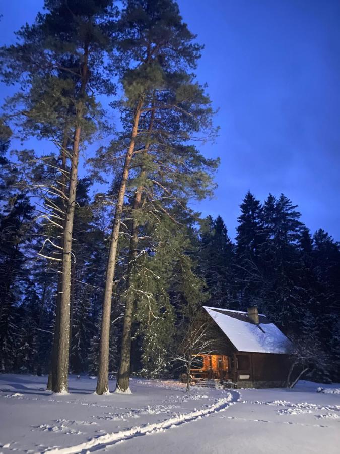 Villa Rojaus Slenis Druskininkai Esterno foto