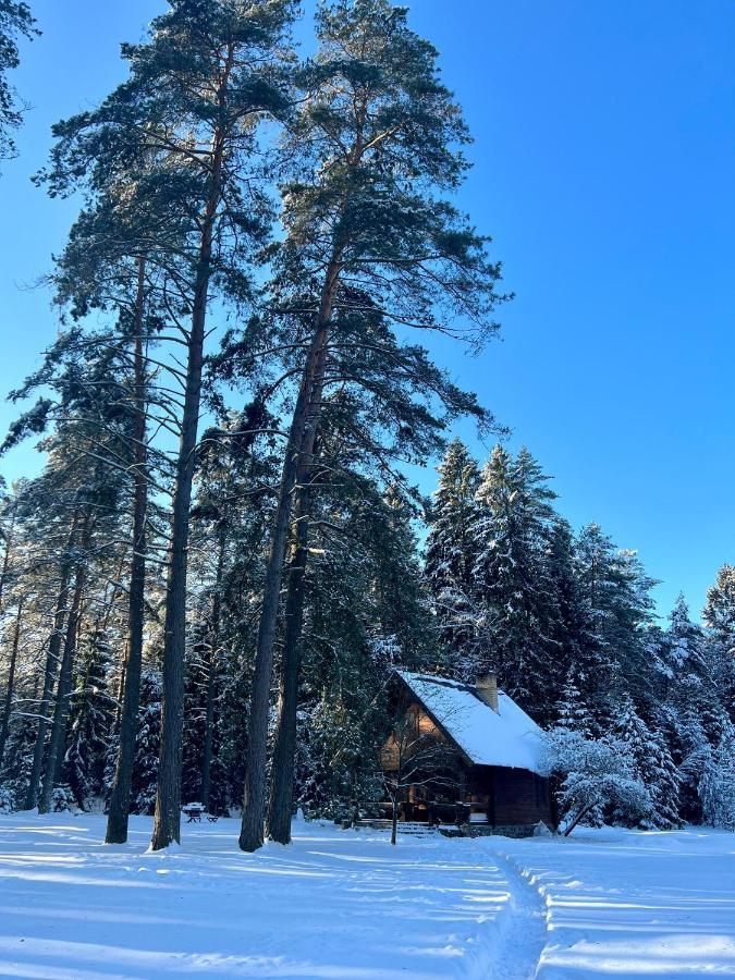 Villa Rojaus Slenis Druskininkai Esterno foto