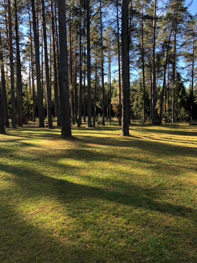 Villa Rojaus Slenis Druskininkai Esterno foto