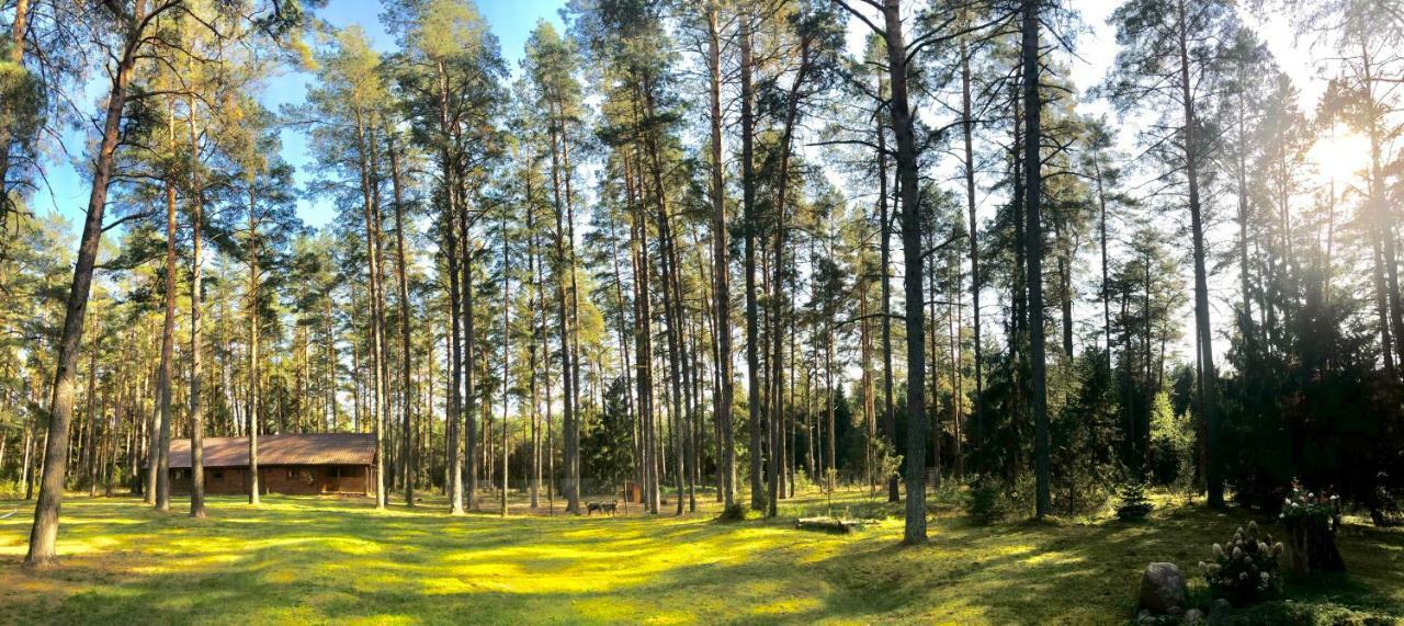 Villa Rojaus Slenis Druskininkai Esterno foto
