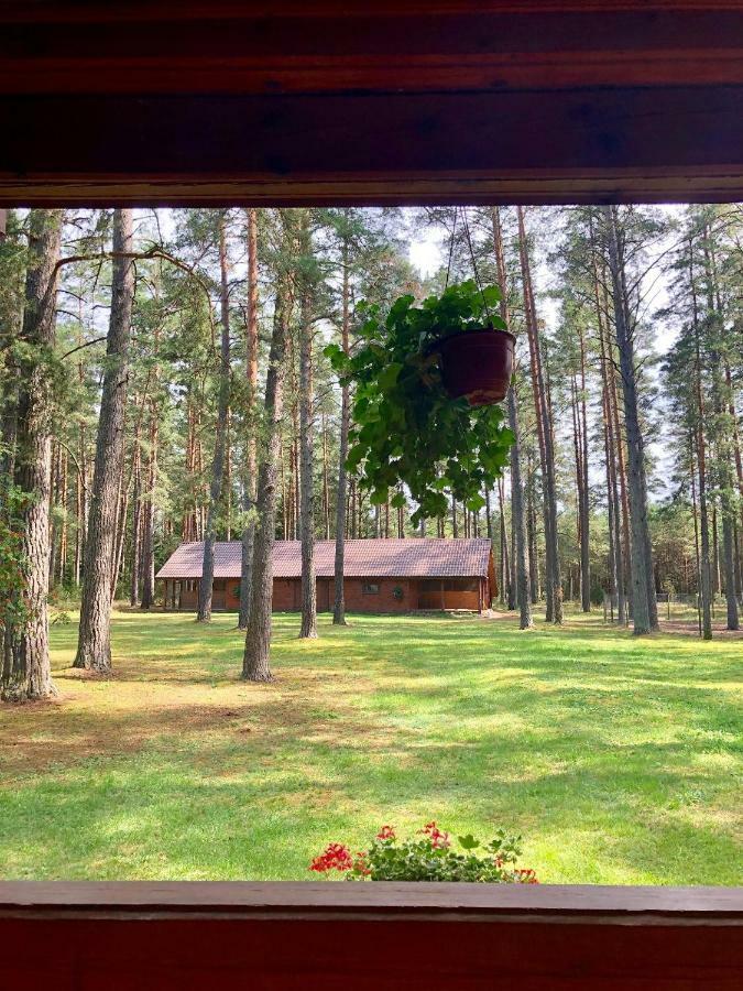 Villa Rojaus Slenis Druskininkai Esterno foto