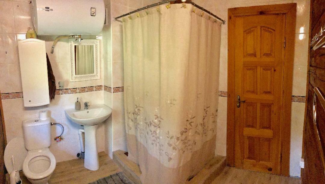 Villa Rojaus Slenis Druskininkai Esterno foto