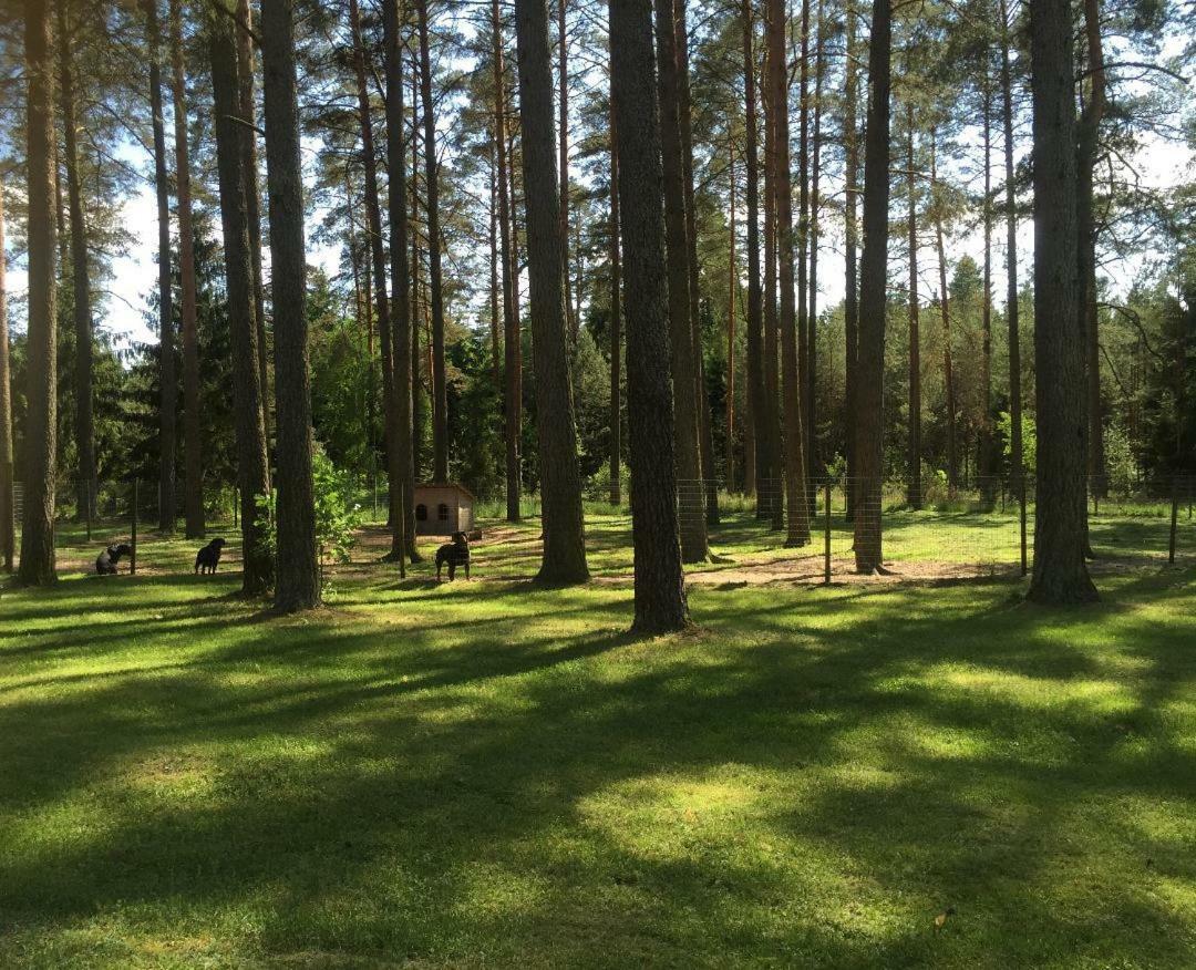 Villa Rojaus Slenis Druskininkai Esterno foto