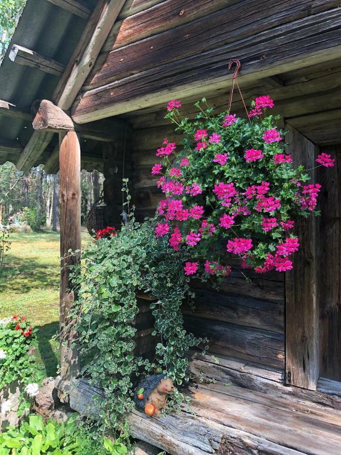 Villa Rojaus Slenis Druskininkai Esterno foto